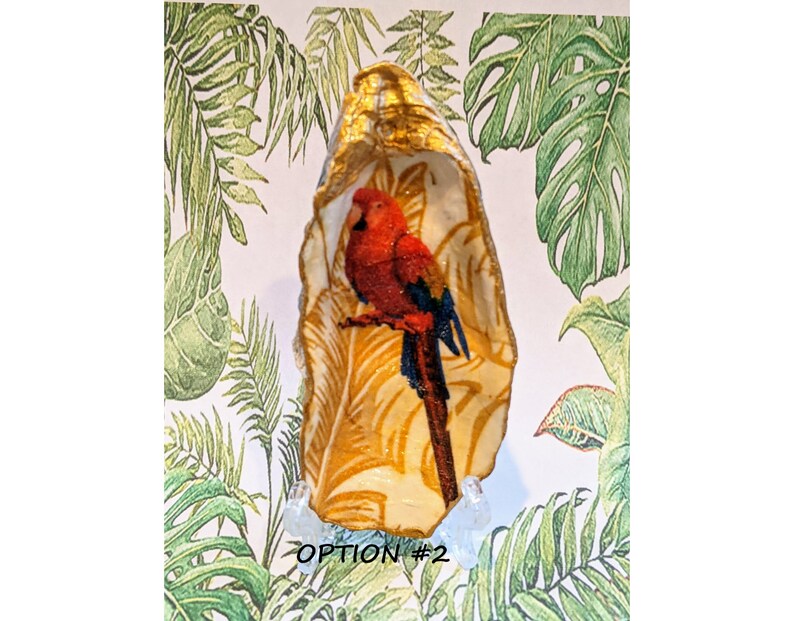 Change Dish Hostess Gift Rescue Donation-Ring Dish Key Dish Parrot Decorative Decoupage Oyster Shell