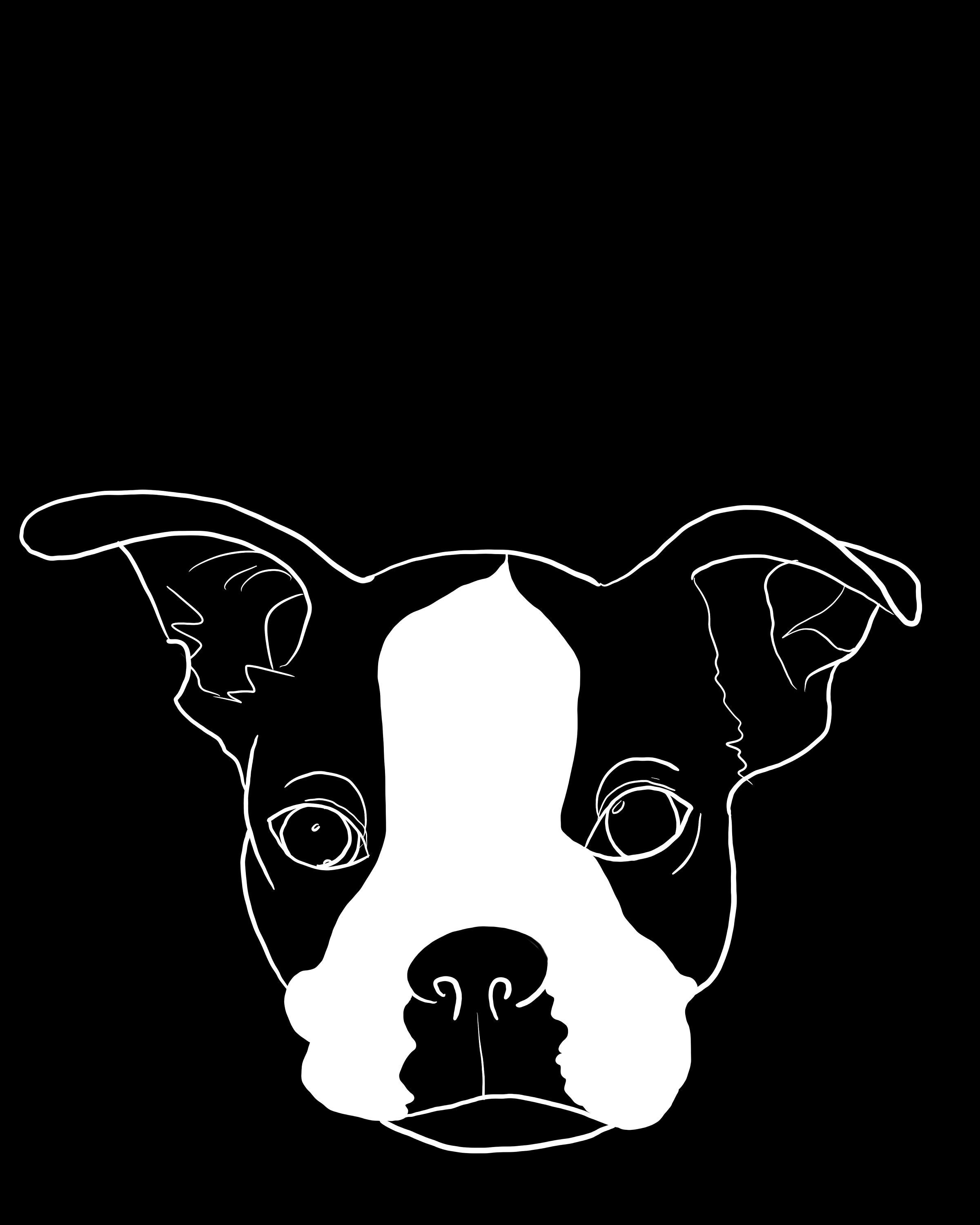 Boston terrier PNG/SVG | Etsy