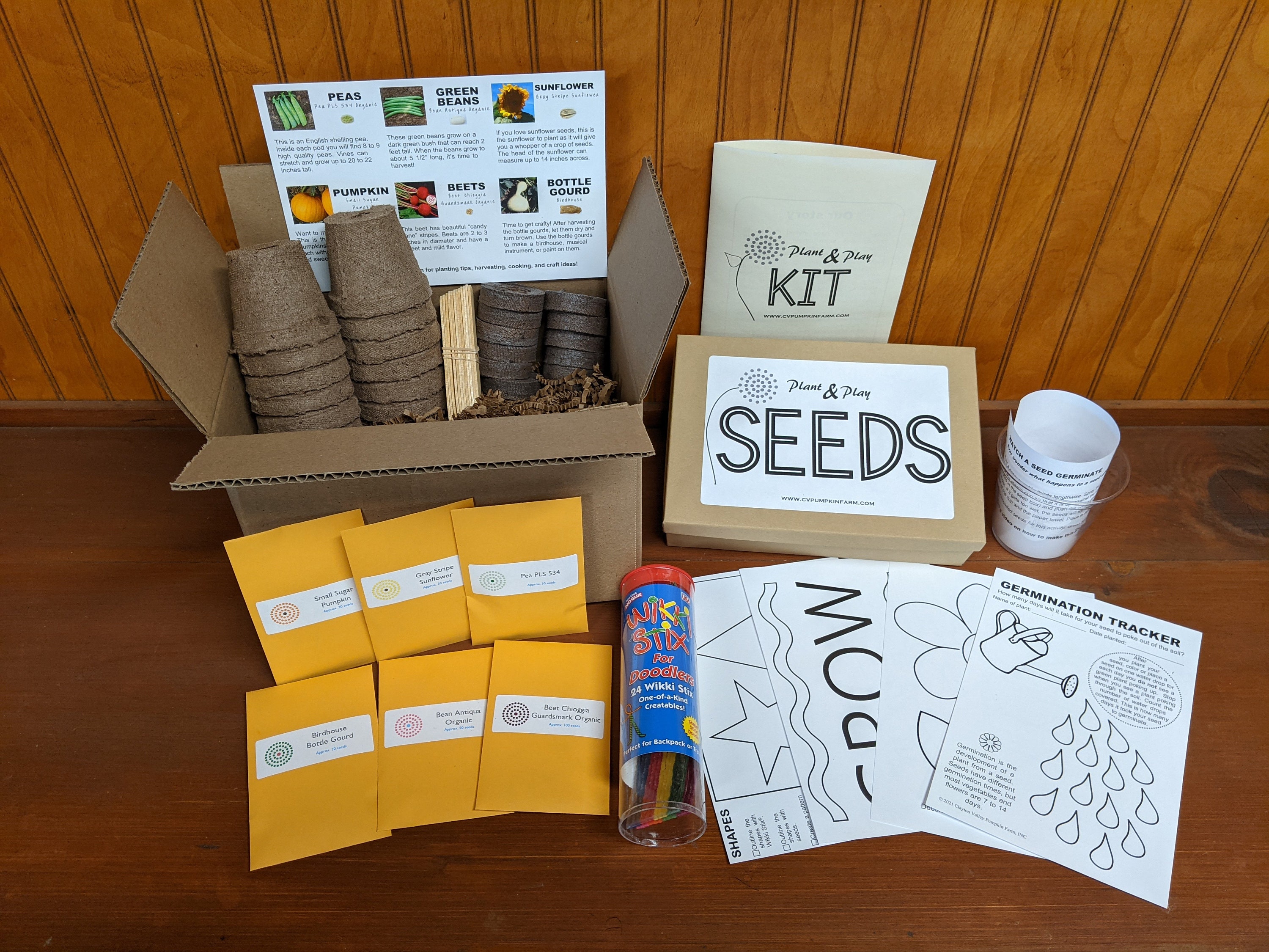 Plant & Play Kit for Kids Etsy