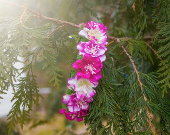 Wildflowers Small Dog Flower Crown - Easter / Spring Collection