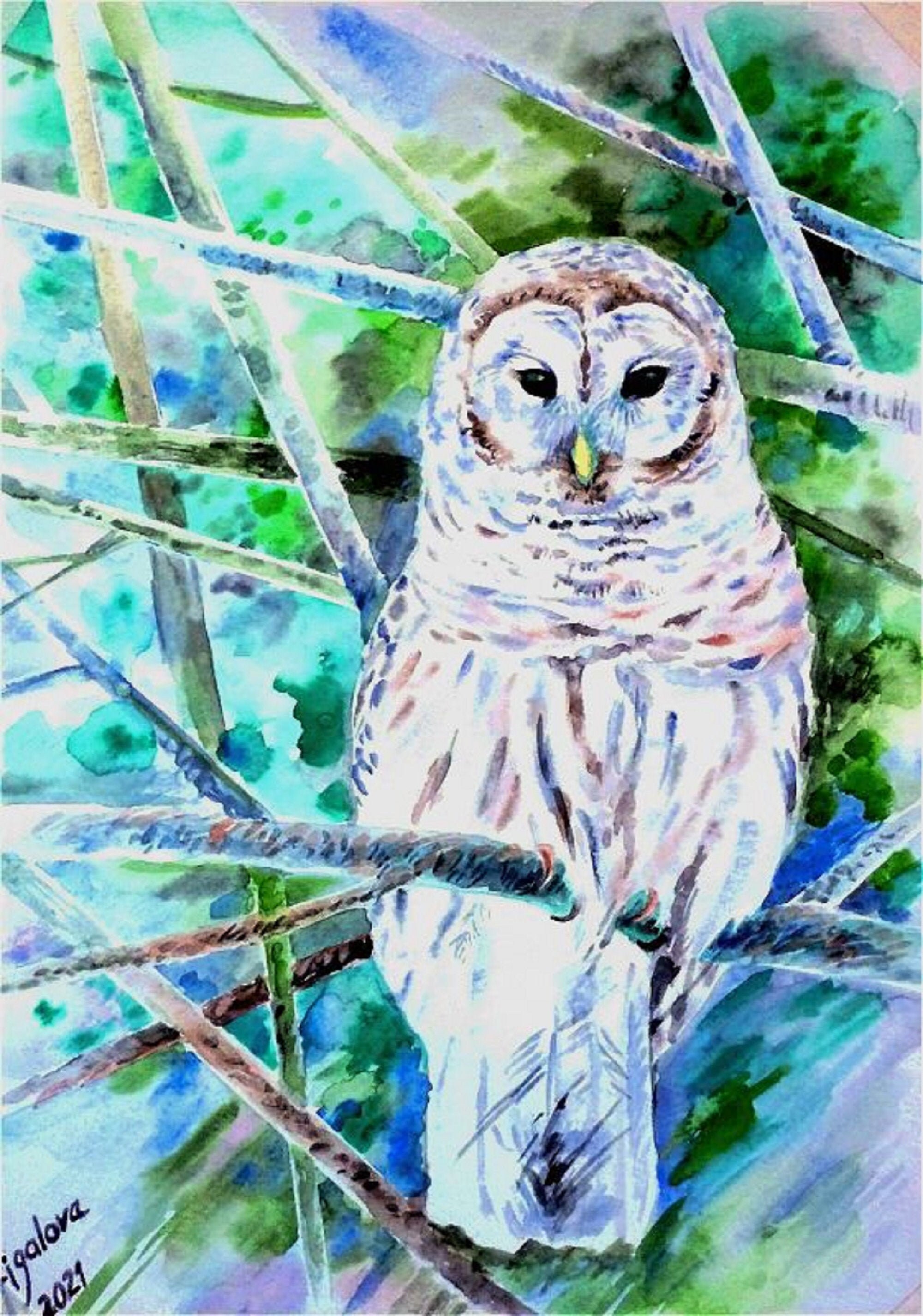 Aquarell Eule original Aquarell Eule Kunst | Etsy