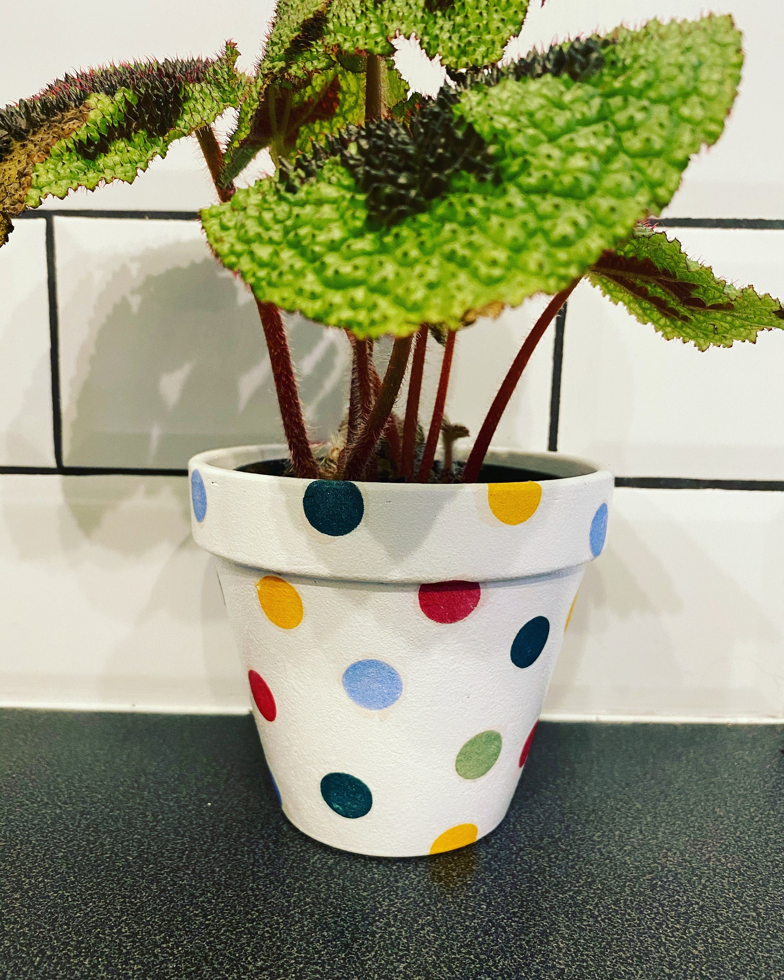 SPOTS Hand decorated decoupage plant pot Emma Bridgewater Etsy