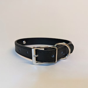 May include: A black leather dog collar with a silver buckle and D-ring.