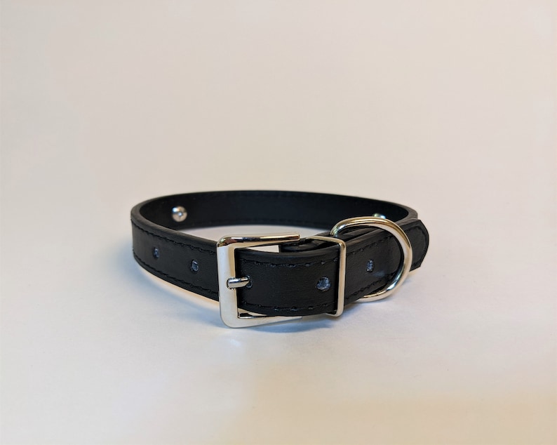 May include: A black leather dog collar with a silver buckle and D-ring.