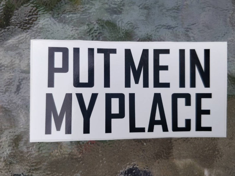 Put Me In My Place BDSM Sticker Kinky Stickers Brat Submissive Etsy