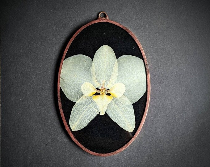 Pressed Orchid in Frame Orchid Wall Decor Unique Floral Etsy