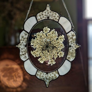 Stained glass art, pressed flower art, Queen Anne's Lace, framed flowers, Nouveau glass art, decorative glass, floral suncatcher