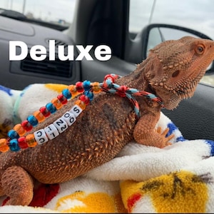 May include: A brown bearded dragon with a colorful beaded harness, resting on a patterned blanket. The word "Deluxe" is in white text above the lizard. The harness has the name "SONIC" spelled out.