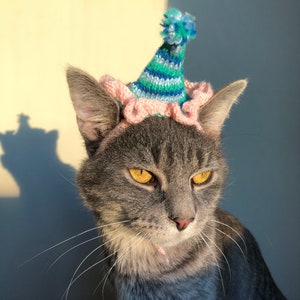 Knitted Cat Birthday Celebration Hat