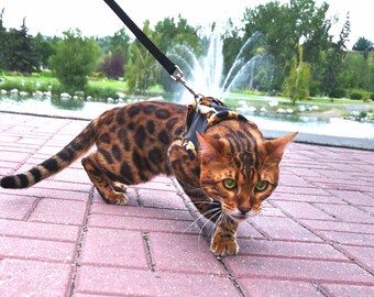 bengal harness