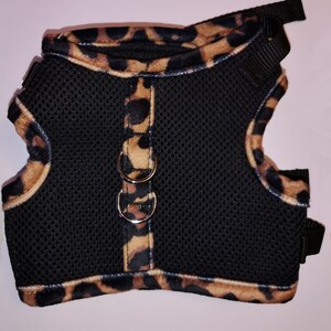 best cat harness for bengals