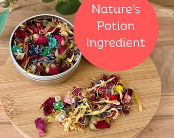 Dried Flower Petal Confetti: Kids Potion Making & STEM Play