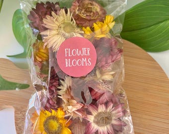Dried Flower Blooms for Kids Potion Making & STEM Play