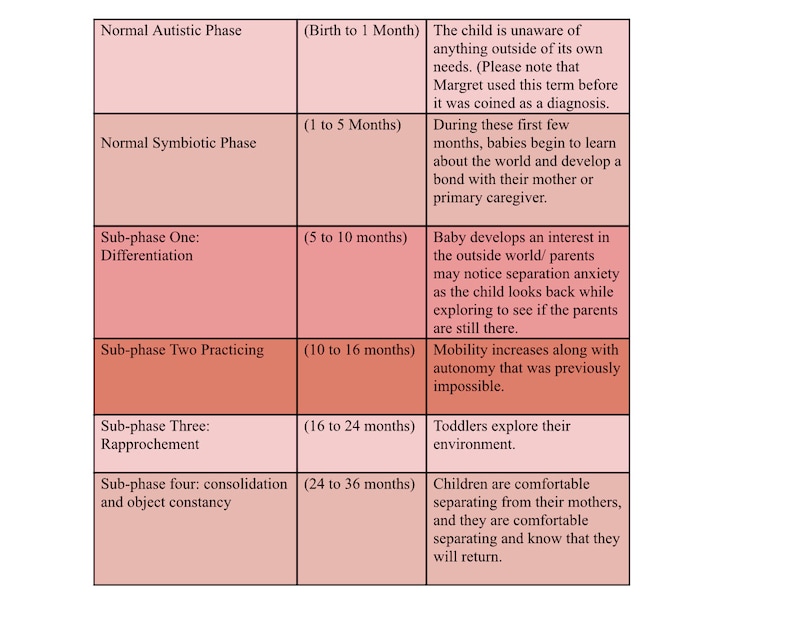 Normal Autistic Phase NCE Study Guide: 32 Theories and Theorists You Should Know Outline ...