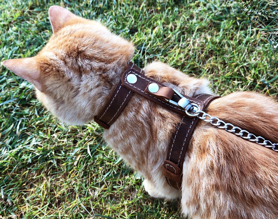 Cat Harness Escape Proof Walking Cat Harness Leash Trainer for Cats