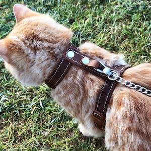 Kattentuig Escape Proof Wandelen Kattentuig Leiband Trainer voor katten en kittens Ontdekken Kattentuigen Kattentuig Leren kattenhalsband