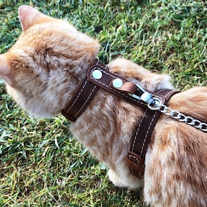 Cat Harness Escape Proof Walking Cat Harness Leash Trainer for Cats & Kittens Explore Cat Harnesses Cat Harness  Leather Cat Collar