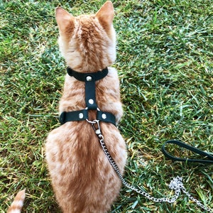 Leather Cat Harness Collar with Leash: Escape Proof H-Style Trainer