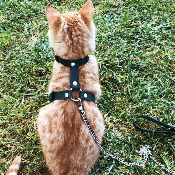 Leather Cat Harness Collar Leash Trainer for Cats & Kittens, Walking Cat Harness (Escape Proof) Explore Cat Harnesses, H Style Cat Harness