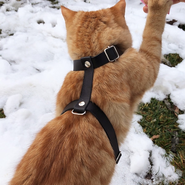 Cat Harness Etsy