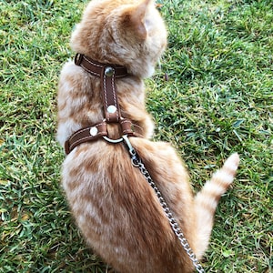 Explore Cat Harnesses Walking Cat Harness Escape Proof Leash Trainer for Cats & Kittens Explore Cat Harnesses Cat Harness Leather Cat Collar