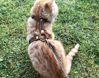 Explore Cat Harnesses Walking Cat Harness Escape Proof Leash Trainer for Cats & Kittens Explore Cat Harnesses Cat Harness Leather Cat Collar