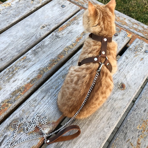 Leather Cat Harness Collar Leash Trainer for Cats & Kittens Etsy