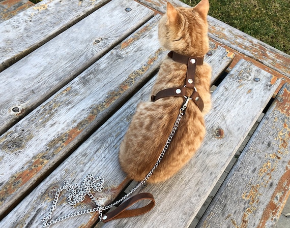 Entrenador de correa para gatos y gatitos, arnés para gatos andante a  prueba de escape Explore los arneses para gatos, arnés para gatos estilo H,  collar de cuero para gatos 