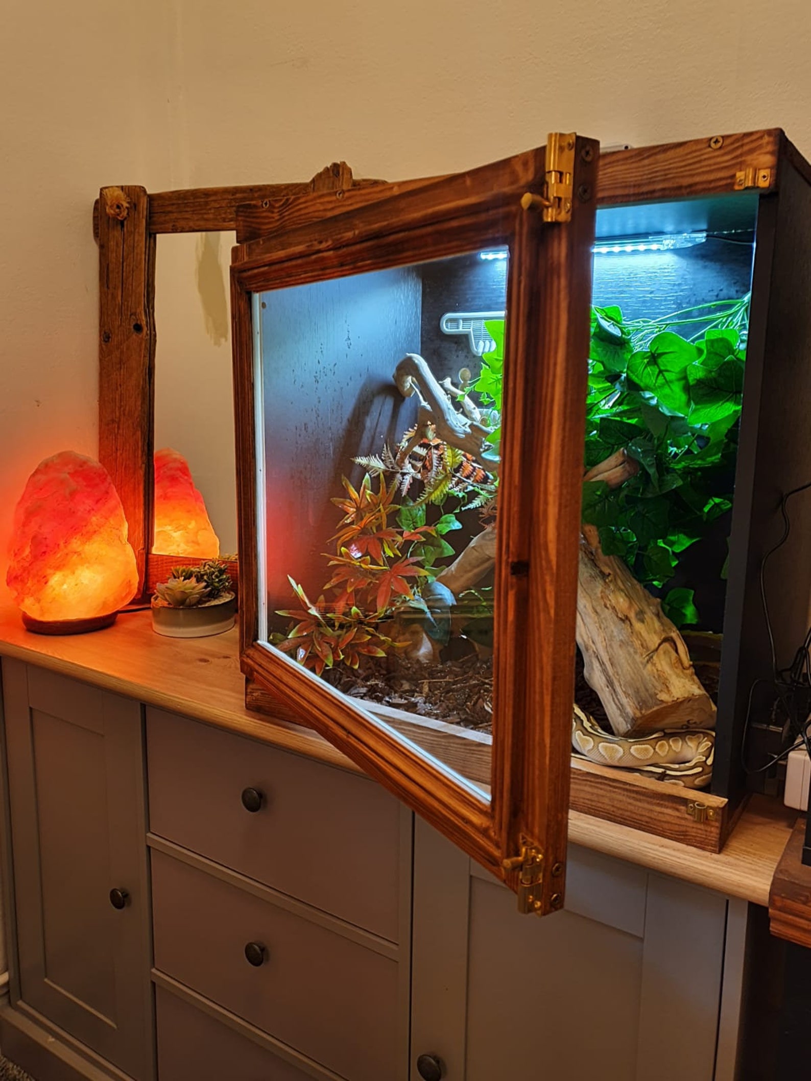 Handbuilt Custom Vivarium built to your specifications Etsy