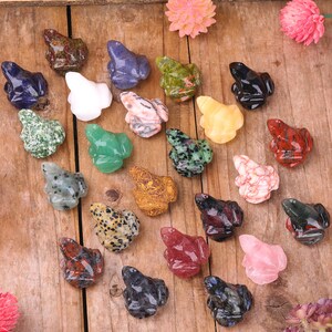 K&ouml;nnte beinhalten: Eine Sammlung von 20 kleinen Froschfiguren, die aus verschiedenen Arten von bunten Edelsteinen geschnitzt sind. Die Fr&ouml;sche sind in einem Halbkreis auf einer Holzoberfl&auml;che angeordnet.