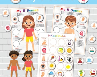 Five Senses Matching Activity: Preschool Anatomy Learning Binder (PDF Download)