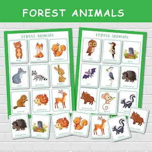 Pagine di libri con animali della foresta, attività tranquille per bambini, schede flash per animali in età prescolare, scuola materna, giochi di cartelle di file.