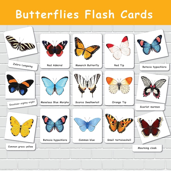 Butterfly Flash Cards, Montessori Three Part Cards, Homeschool Resources, Butterfly Research, Nature Study, Toddler Flashcards