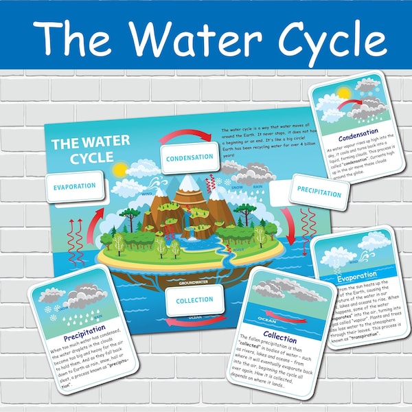 Cycle de l'eau imprimable activité enfants Nature étude maternelle fichier dossier jeu Homeschool Curriculum Elementary Science