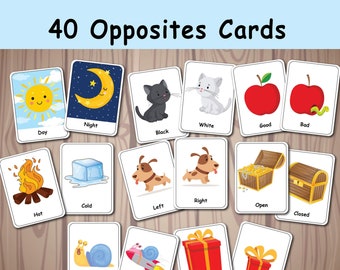 Opposti FlashCard di abbinamento, Attività stampabile, Carte di abbinamento, Gioco di memoria prescolare, Prima elementare, Educazione speciale, Risorsa per l'istruzione domiciliare