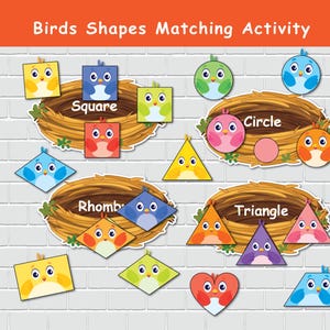 Activité de tri de formes d'oiseaux, centre de formes 2D, page de livre occupée pour l'été, jeux de classement, éducation spéciale, cartable d'apprentissage préscolaire.