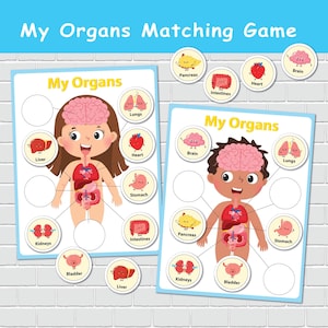 Human Anatomy Printable Activity, Homeschool Resource, Pre-k Learning