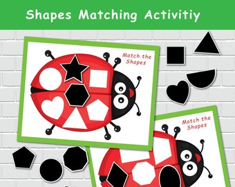 Ladybug Shapes Matching Activity, 2D Shapes, File Folder Games, Special Education, Preschool Learning Binder.