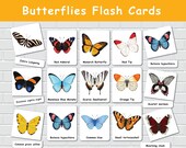 Butterfly Flash Cards, Montessori Three Part Cards, Homeschool Resources, Butterfly Research, Nature Study, Toddler Flashcards