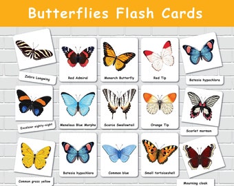 Butterfly Flash Cards, Montessori Three Part Cards, Homeschool Resources, Butterfly Research, Nature Study, Toddler Flashcards