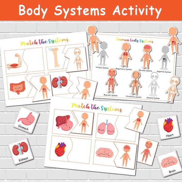 Body Systems Activity Human Anatomy Worksheets Preschool Busy Book Learning Binder Homeschool Curriculum