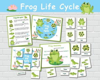 Life cycle of a frog, Frog Anatomy, 3 Part Montessori Cards, Nature study, Preschool Printable Activities, Homeschool Curriculum.