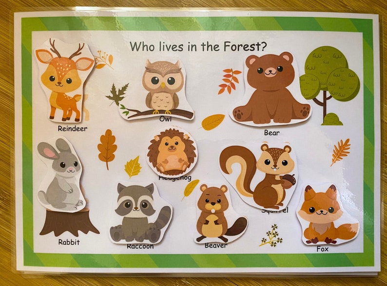 May include: A colorful educational chart with the question "Who lives in the Forest?" and illustrations of various forest animals, including a reindeer, owl, bear, hedgehog, squirrel, rabbit, raccoon, beaver, and fox.