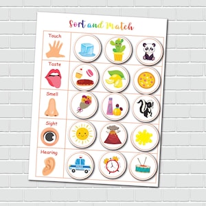 Five Senses Matching Activity: Preschool Anatomy Learning Binder (PDF ...
