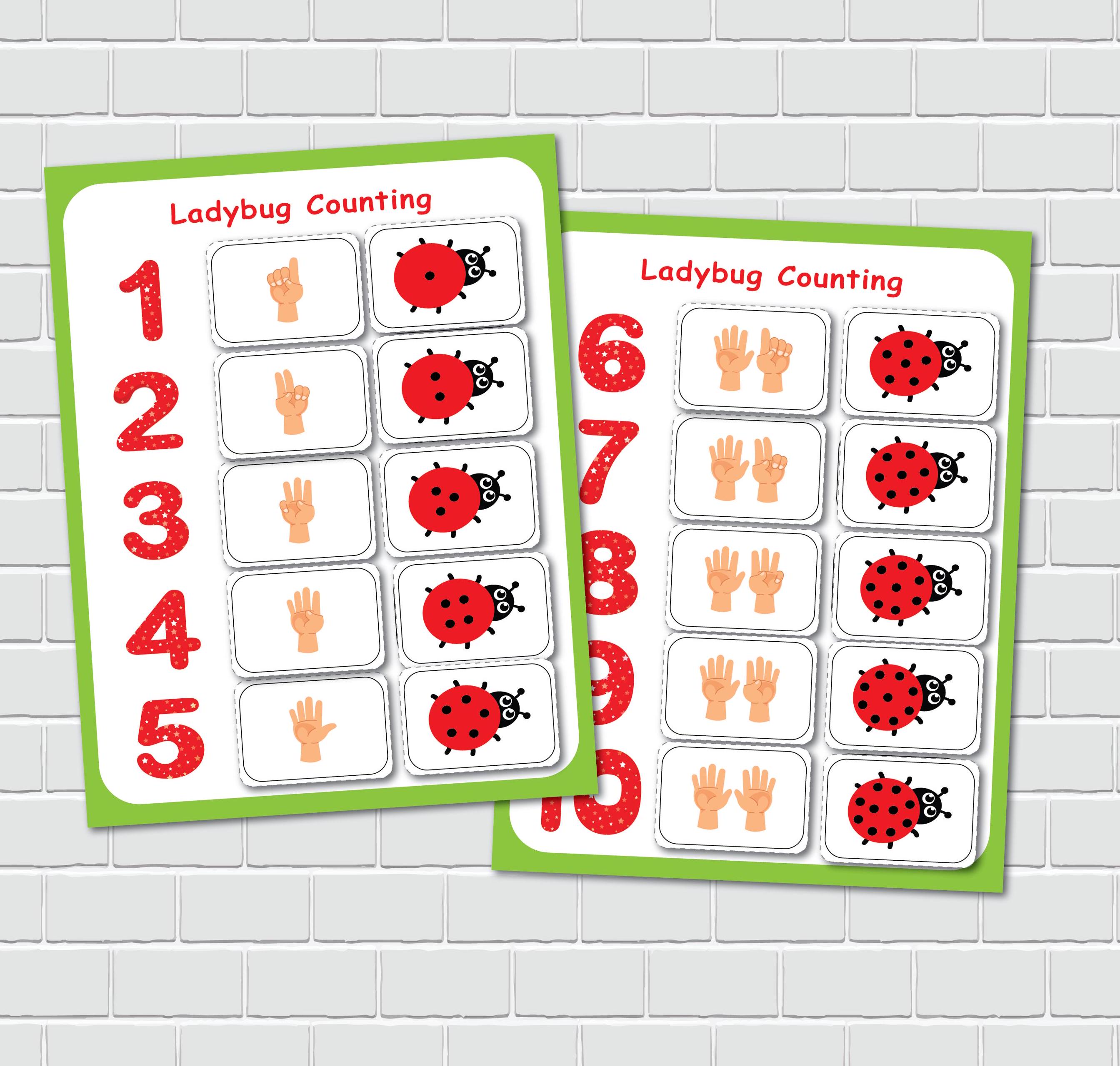 Ladybug Count and Match Activities, Preschool Math,toddler Busy Book ...