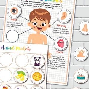 Five Senses Matching Activity: Preschool Anatomy Learning Binder (PDF ...