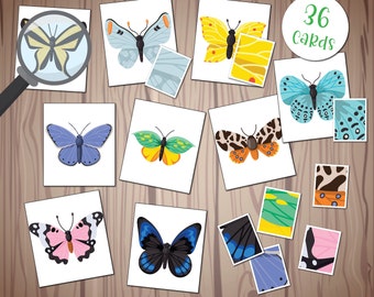 Butterfly Pattern Matching Cards, Montessori Materials, Nature Study, Preschool Printable,Homeschool Learning, Toddler Kindergarten Activity