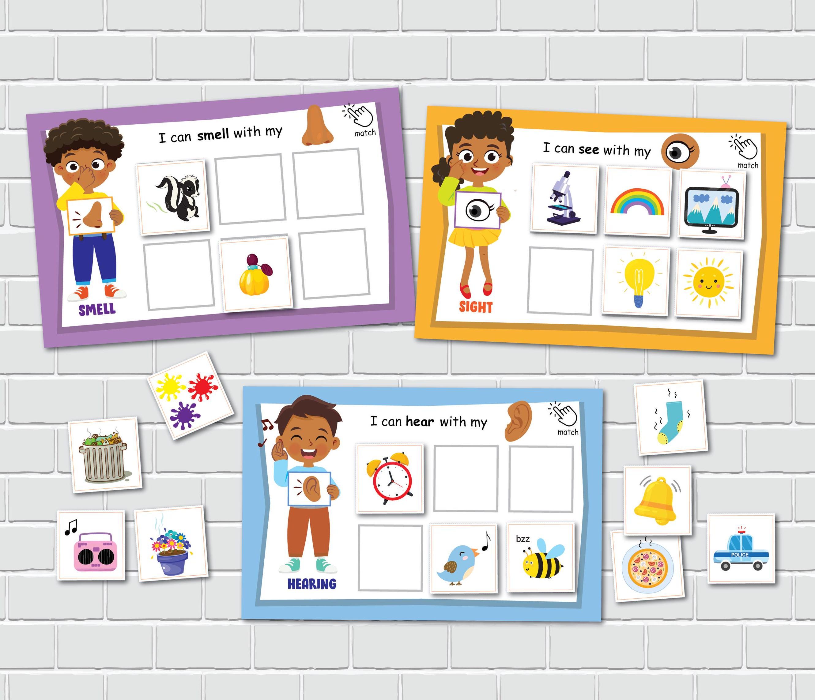 Five Senses Sorting Mats, Printable Activity, 5 Senses Sorting ...