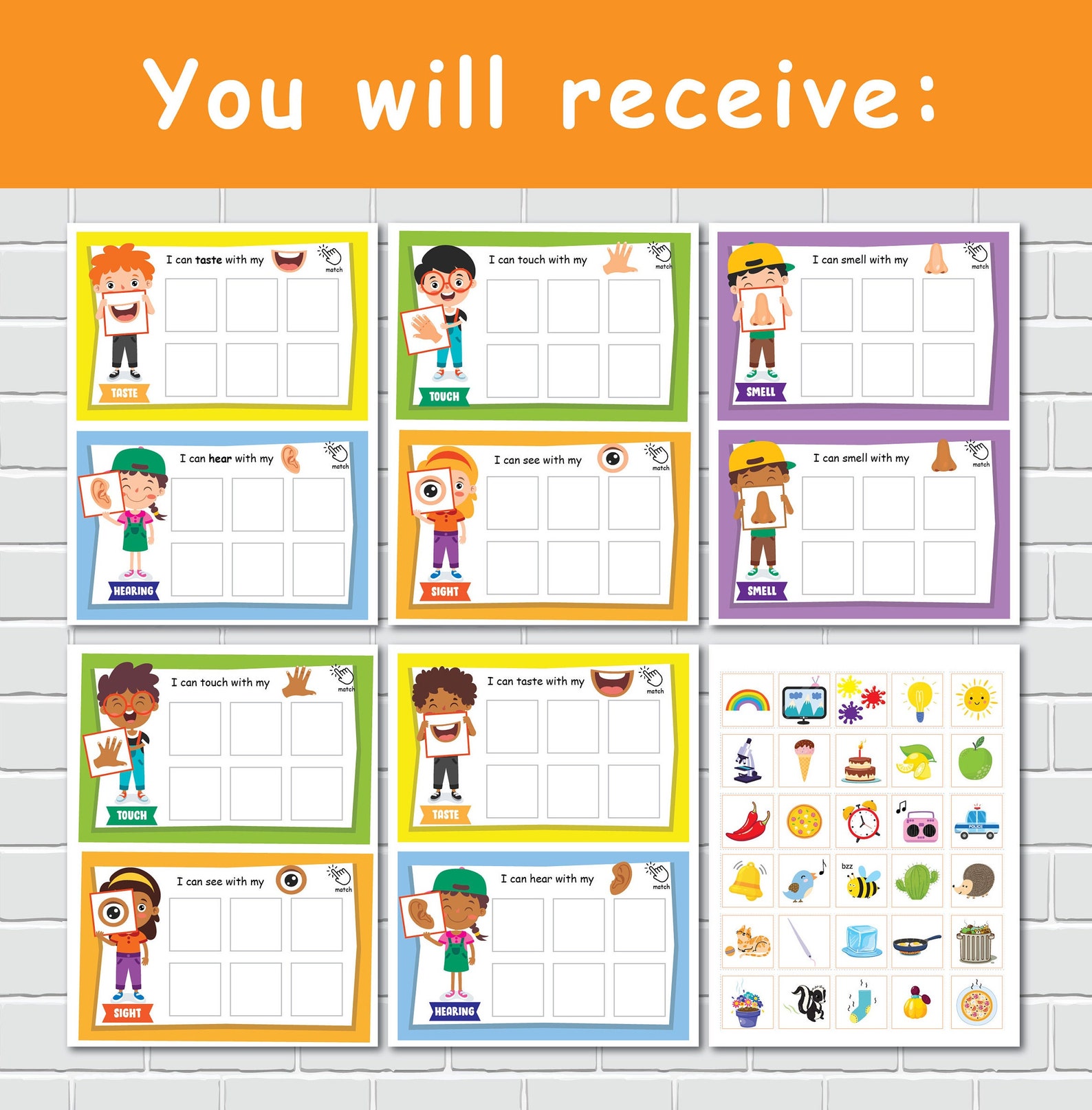 Five Senses Sorting Mats Printable Activity 5 Senses - Etsy