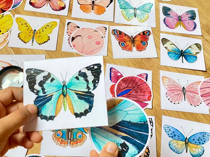 May include: A set of colorful butterfly illustrations on white cards. The butterflies are painted in watercolor and have different wing patterns and colors. The cards are perfect for a craft project or for decorating a room.